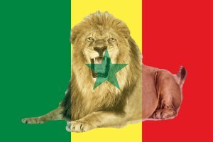 Équipe Nationale de Football du Sénégal 61ans après…