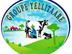 Braquage dans un dépôt du groupe Yellitaare: 6 individuels emportent plusieurs millions.