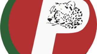 Article 96 (Loi n° 74-13 du 24 juin 1974)