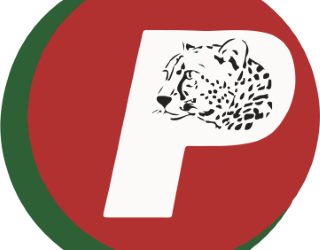 Article 96 (Loi n° 74-13 du 24 juin 1974)