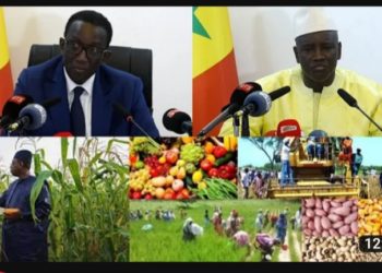 (Vidéo) Campagne agricole 2023-2024 :Le budget porté à 100 milliards selon le Premier Ministre Amadou Bâ…