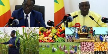 (Vidéo) Campagne agricole 2023-2024 :Le budget porté à 100 milliards selon le Premier Ministre Amadou Bâ…