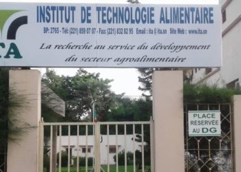 Tourbillon sans précédent à l’ITA : Les travailleurs dénoncent la gestion partisane et injuste de leur Directeur Général !