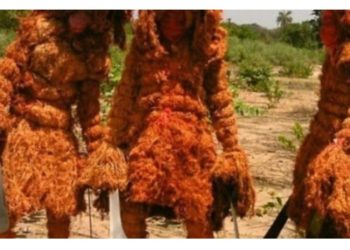 SOCIÉTÉ/Kédougou : le meurtrier du > arrêté