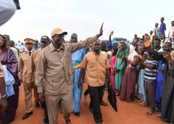 ÉLEVAGE: Amadou BA lance la campagne de la vaccination nationale du cheptel