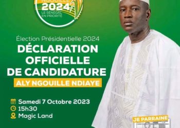 Présidentielle 2024 : des députés de Bennoo dans la besace d’Aly Ngouille Ndiaye