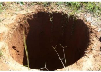 SOCIÉTÉ-Bignona : deux frères meurent asphyxiés dans un puits