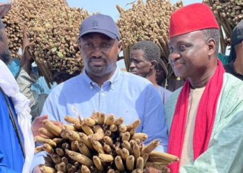Samba Ndiobène Ka, ministre de l’Agriculture : « C’est la première fois qu’une campagne agricole engloutit plus de 100 milliards de F CFA »