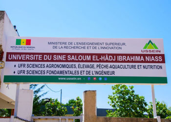 Université du Sine-Saloum : un directeur d’UFR accusé d’avoir violé et mise enceinte une fille de 13 ans